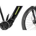 OEM MTB E-Bike / Electric Bike/Electric Bicycle